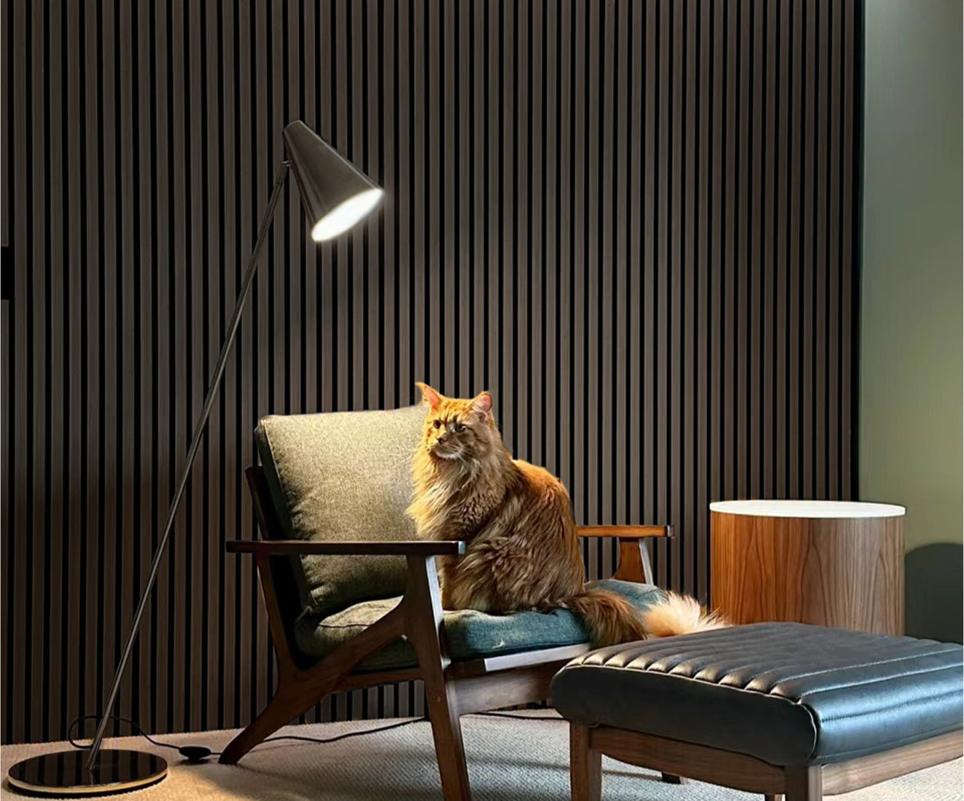 Luxury wood wall paneling with dark acoustic slats and cozy lounge chair featuring a Maine Coon cat
