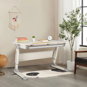 Adjustable Ergonomic Kids Desk